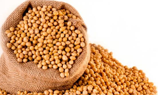 用大豆異黃酮類產品來保養身體 大豆異黃酮對人體的7大作用