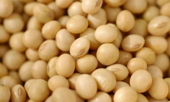 用大豆異黃酮類產品來保養身體 大豆異黃酮對人體的7大作用