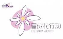 2020蜜特奧兒“雪絨花計劃”全面開啟，隆重來襲！