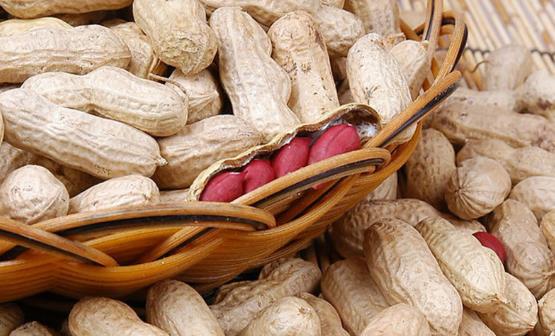 會(huì)引起過敏的食物 三招應(yīng)對(duì)食物過敏