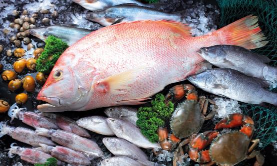 根據(jù)年齡段營養(yǎng)應稍有所側(cè)重 30歲吃菜好色護皮膚
