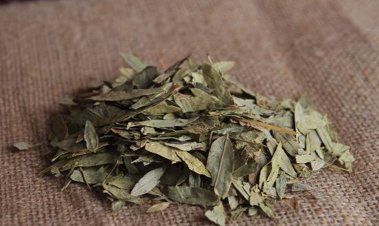 番瀉葉減肥方法千萬(wàn)別嘗試 傷害身體還沒(méi)效果