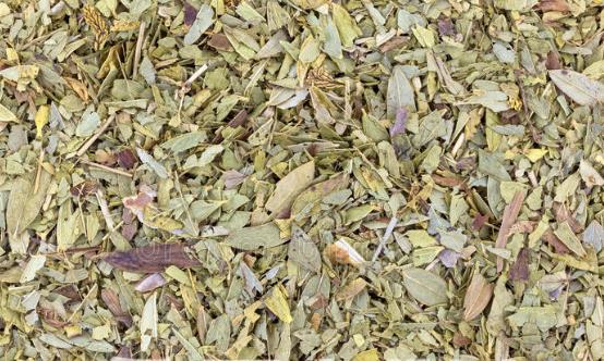 番瀉葉減肥方法千萬(wàn)別嘗試 傷害身體還沒(méi)效果