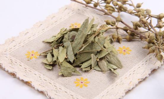 番瀉葉減肥方法千萬(wàn)別嘗試 傷害身體還沒(méi)效果