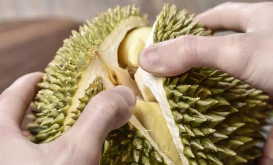 榴蓮有流連忘返的美譽 榴蓮食用時的注意事項: