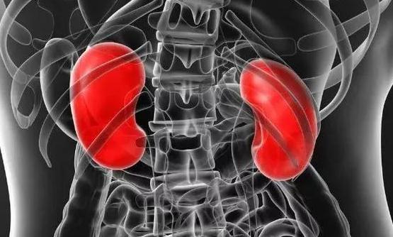 八個(gè)信號(hào)說明腎臟病了 晚上九點(diǎn)泡腳最護(hù)腎