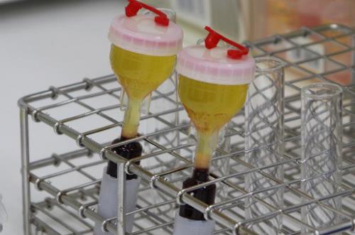 圣心醫療美容鐮倉達郎總院長，帶你探索年輕的秘密