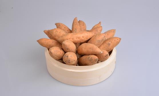 養生對女人同樣很重要 女人養生晚餐健康吃法