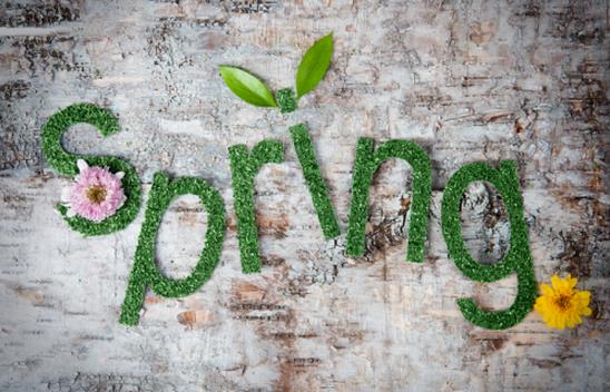 在這個春天擁抱你