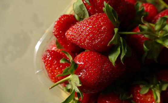 8種養肝的好食物 一日三餐中搭配這些食材有好處