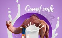 駱駝奶對兒童的好處