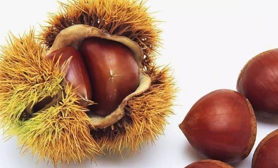 生活中能夠補腎的食物 4款食療方補腎美顏