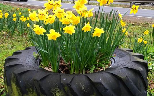 廢物循環再利用大全 讓垃圾為我們的生活增光添彩