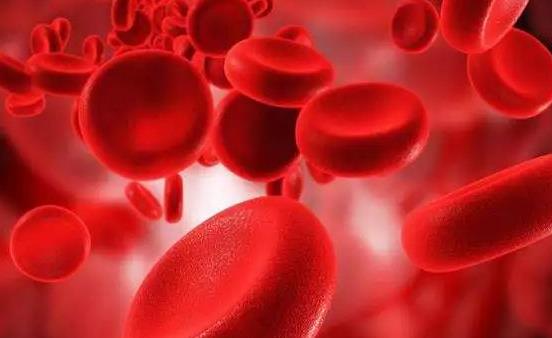 血液垃圾帶來危害 多吃9類食物有效清理血液垃圾