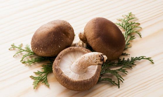 血液垃圾帶來危害 多吃9類食物有效清理血液垃圾