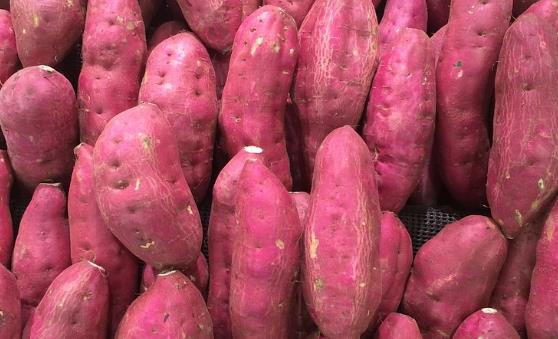 受到胃寒的折磨 日常飲食中要把握住必備的注意事項