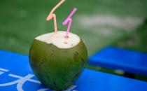 椰子汁是三高人群的福音 補充細胞內液擴充血容量