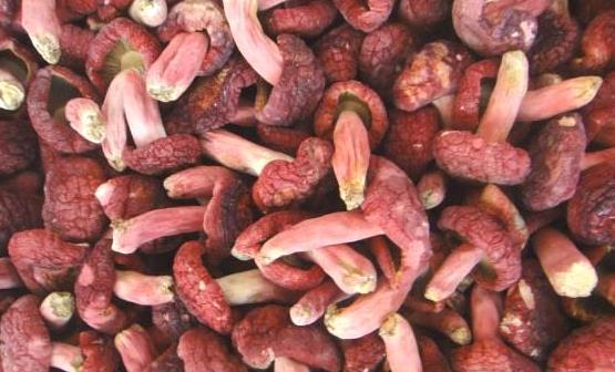 改善血虛須從改善飲食做起 十種常見的補血食物