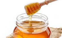 胃病是三分治七分養 最養胃修復胃的食物推薦