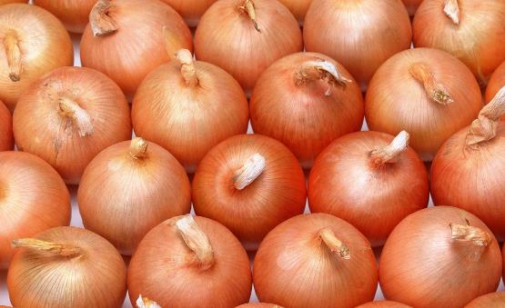 洋蔥中的營養成豐富 四種洋蔥的家常做法