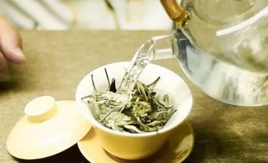 喝茶能達到保暖養生的功效 養生茶補足氣血增免疫