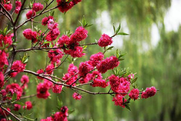 足太醫丨春日好時光,養生正當時