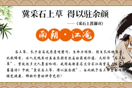 石上草：脫發(fā)怎么辦？用什么洗發(fā)水好？