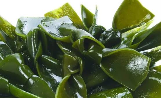 排出體內(nèi)堆積毒素 簡(jiǎn)便易行無副作用