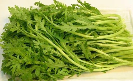 排出體內(nèi)堆積毒素 簡(jiǎn)便易行無副作用