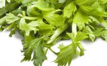常吃芹菜養血補虛 低血壓脾胃虛弱的人不宜吃