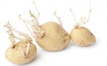 ?保存土豆不發綠不長牙妙招 普通家庭存放土豆的禁忌