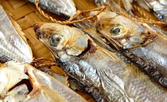 吃魚的禁忌 魚的這些部位千萬不能吃