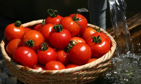 女性衰老得快的原因 盤點四大抗病抗衰老的食物