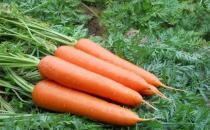 女性保養(yǎng)卵巢很重要 推薦女性保養(yǎng)卵巢的9種食物