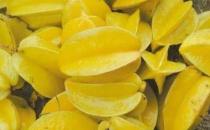 楊桃富含蛋白質和多種維生素 吃楊桃的8個禁忌