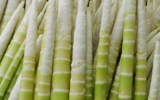 竹筍的7大功效和作用 食用竹筍應了解竹筍的禁忌