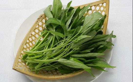 蕹菜的功效與作用 蕹菜的三種美味做法