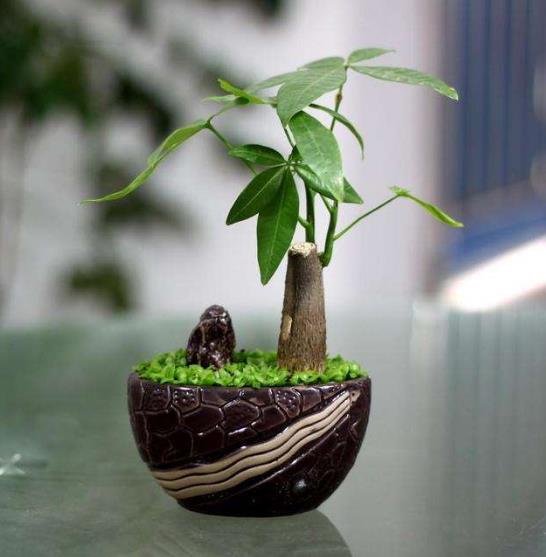 室內空氣凈化、除甲醛行業的市場前景概況及推廣盈利模式簡介