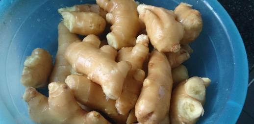 生姜放久了失去水分干巴巴的,這樣保存,可以吃一年新鮮生姜