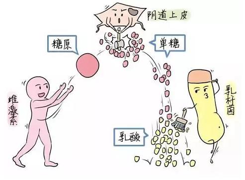 芙美安婦科凝膠丨婦科炎癥反復發作?自從用了它,告別私密困擾!