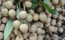 孕婦科學健康飲食最重要 孕婦不能吃的10種食物