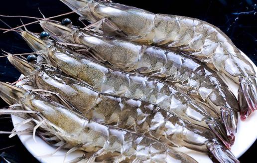 羅氏蝦可以做醉蝦嗎 羅氏蝦不能和什么食物一起吃