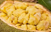 菠蘿蜜切開兩半了沒熟怎么辦 菠蘿蜜沒熟吃了會(huì)中毒嗎